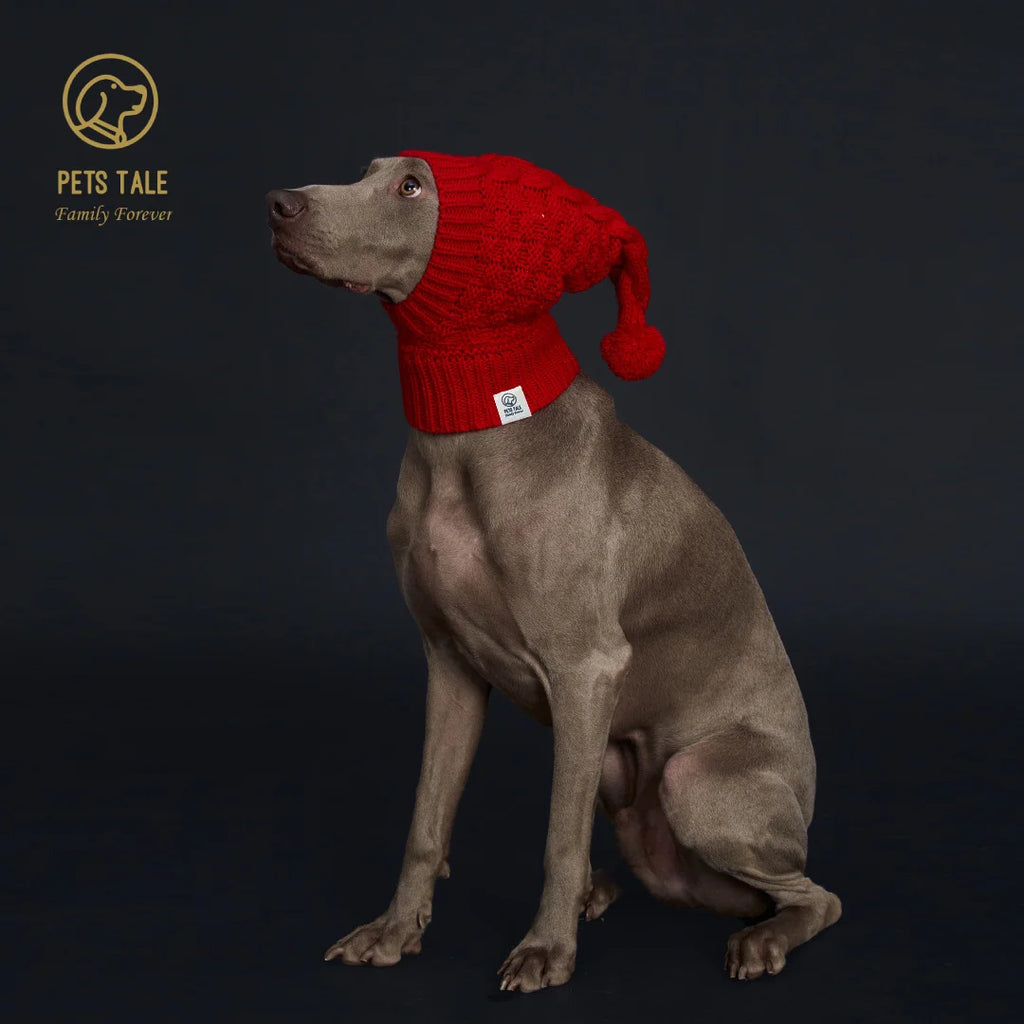 Knitted Pom Pom Dog Hat Cozy Waffle Pattern for Greyhound and Weimaraner