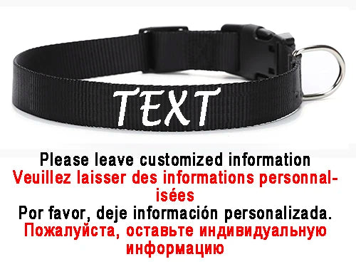 Personalized Dog Collar Custom ID Name Phone Number Nylon Collar