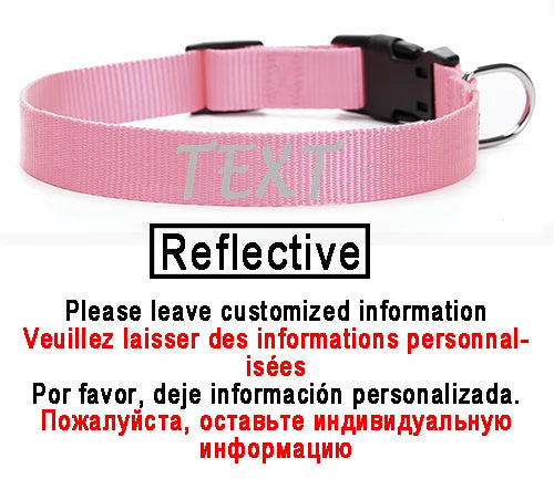 Personalized Dog Collar Custom ID Name Phone Number Nylon Collar