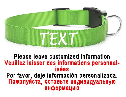 Personalized Dog Collar Custom ID Name Phone Number Nylon Collar