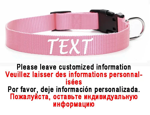 Personalized Dog Collar Custom ID Name Phone Number Nylon Collar