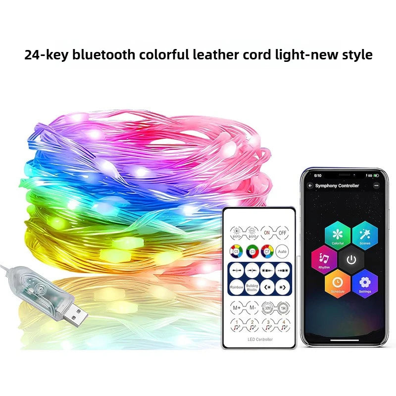 Bluetooth RGB LED String Lights Rainbow Flowing Copper Wire Festive Decor