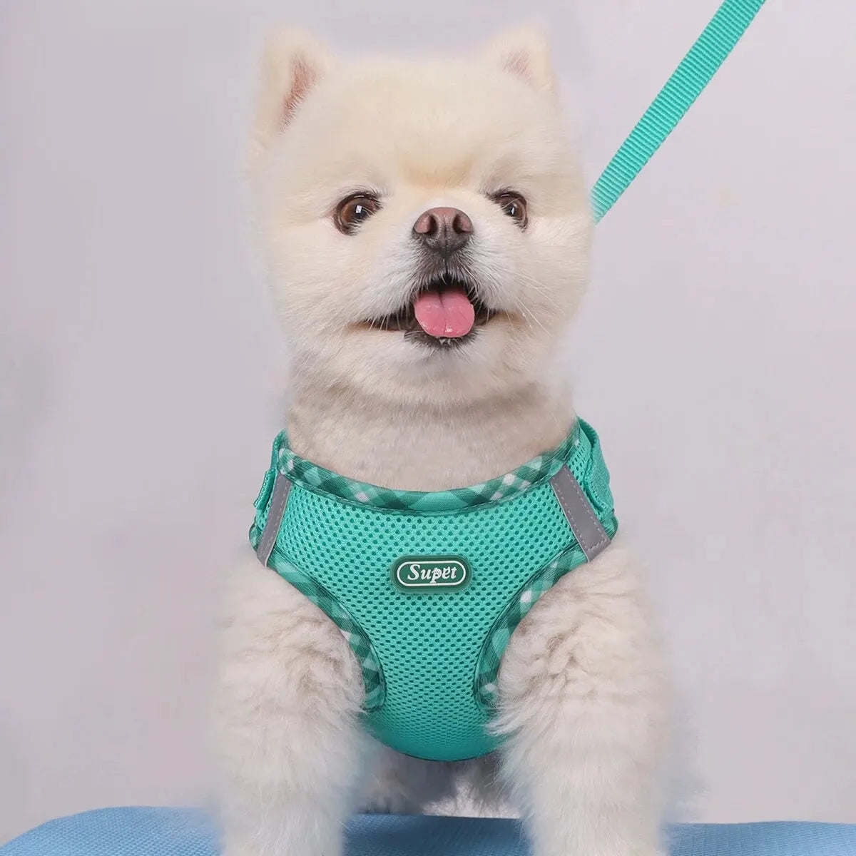 Super Adjustable Anti Pull Dog Harness for Small and Medium Dogs