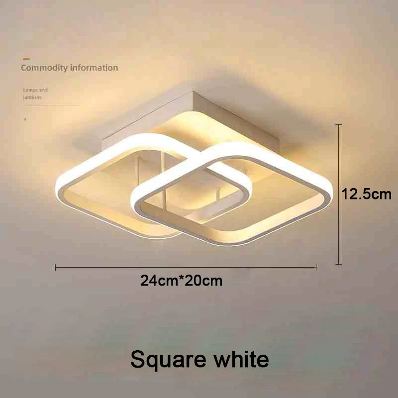 Modern LED 2 Ring Ceiling Light Creative Indoor Lighting Fixture