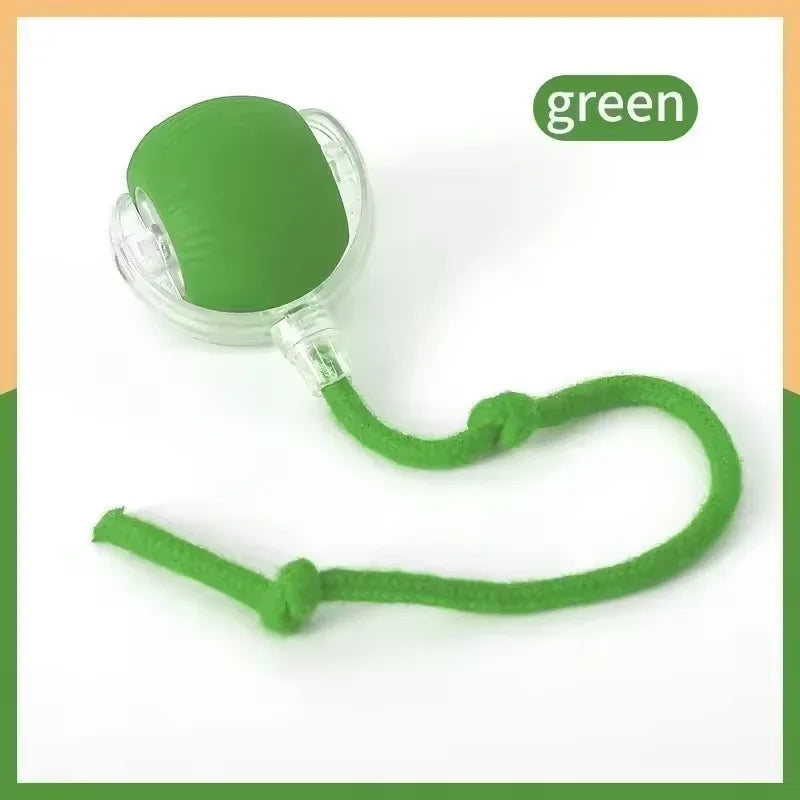 Durable Pet Rope Ball Toy Interactive Dog and Cat Teaser Ball