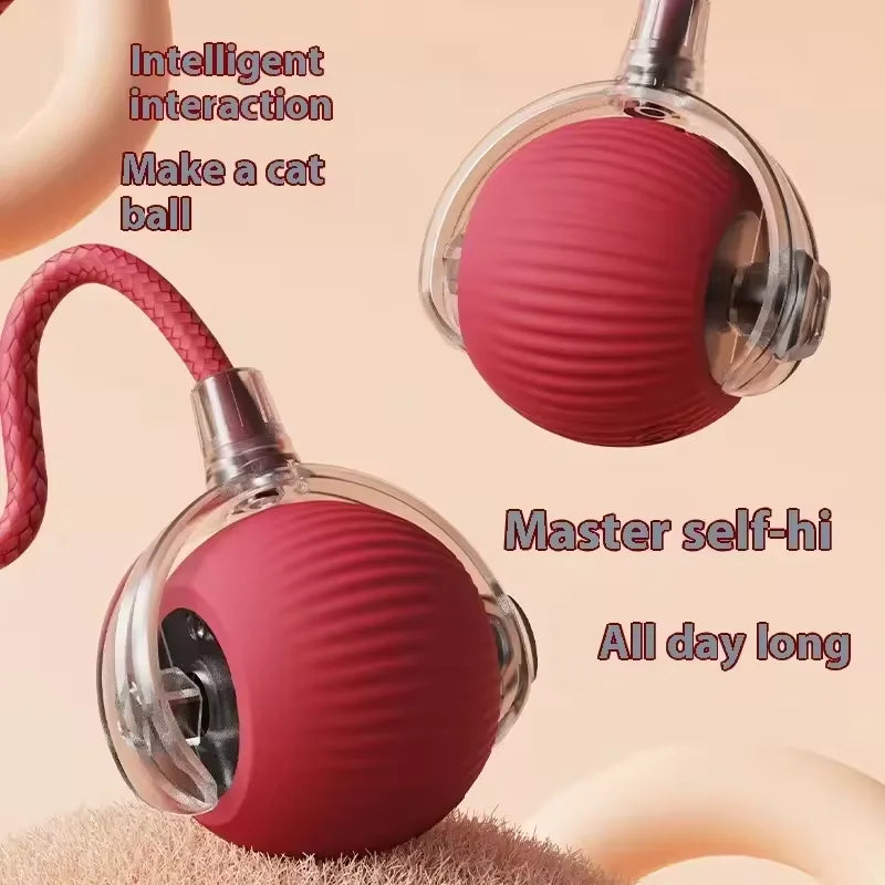 Durable Pet Rope Ball Toy Interactive Dog and Cat Teaser Ball