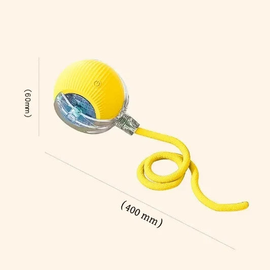 Durable Pet Rope Ball Toy Interactive Dog and Cat Teaser Ball