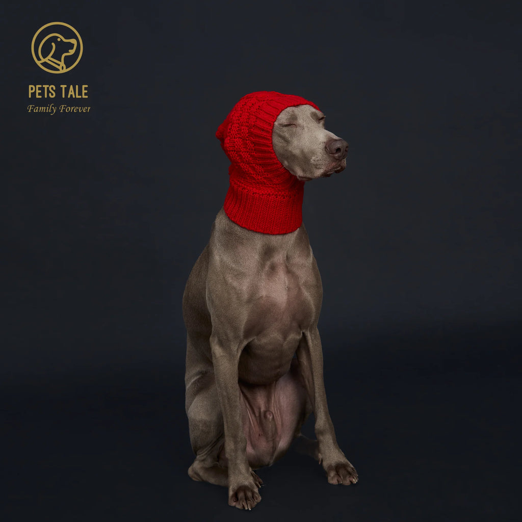 Knitted Pom Pom Dog Hat Cozy Waffle Pattern for Greyhound and Weimaraner