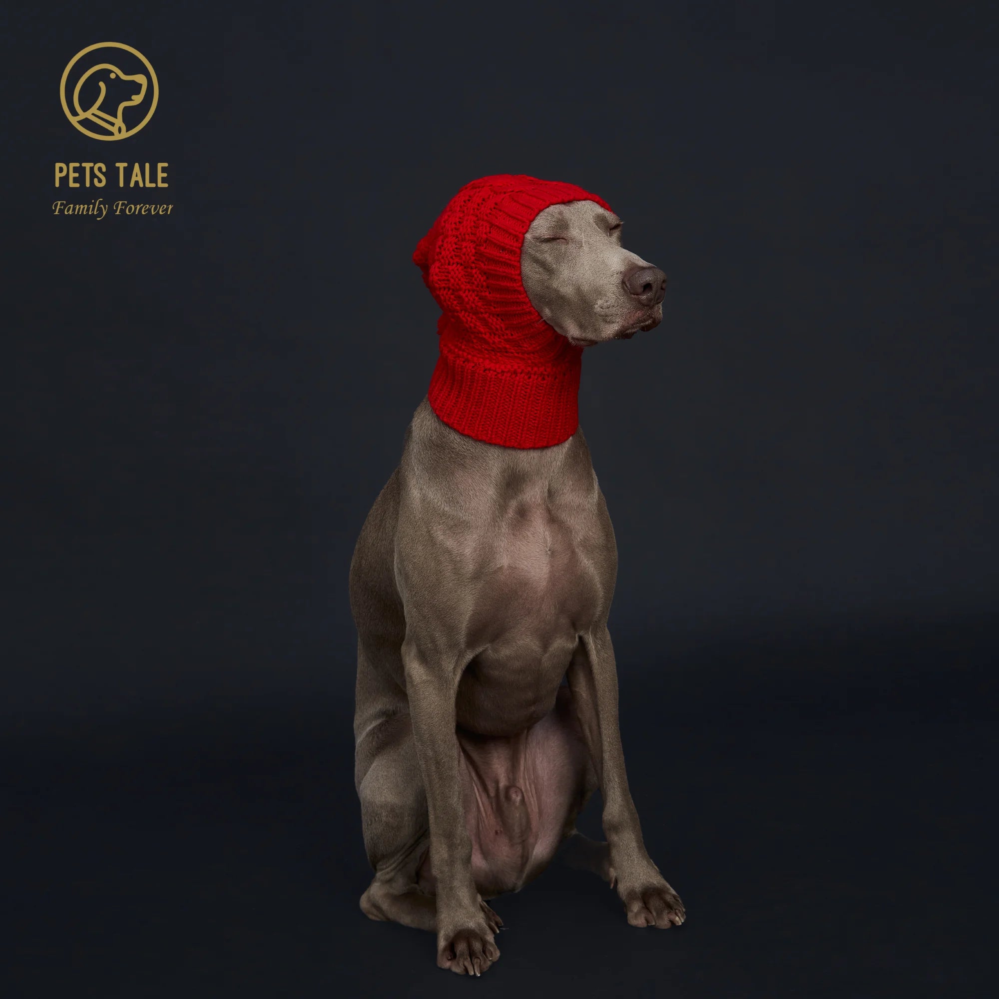 Knitted Pom Pom Dog Hat Cozy Waffle Pattern for Greyhound and Weimaraner