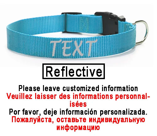 Personalized Dog Collar Custom ID Name Phone Number Nylon Collar