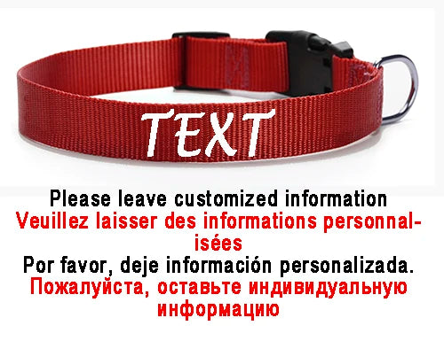 Personalized Dog Collar Custom ID Name Phone Number Nylon Collar