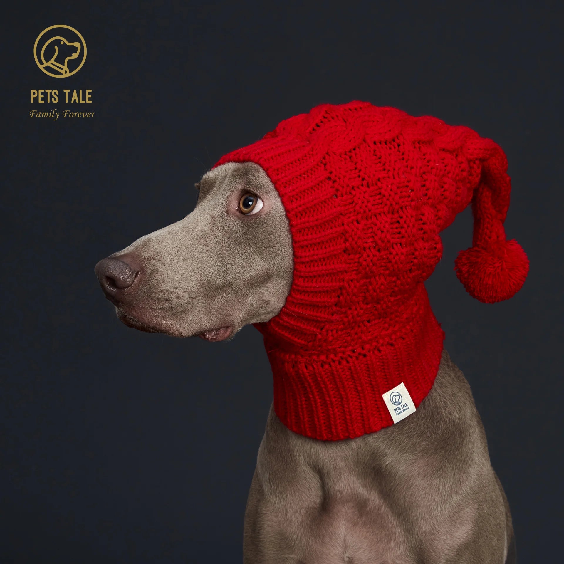 Knitted Pom Pom Dog Hat Cozy Waffle Pattern for Greyhound and Weimaraner