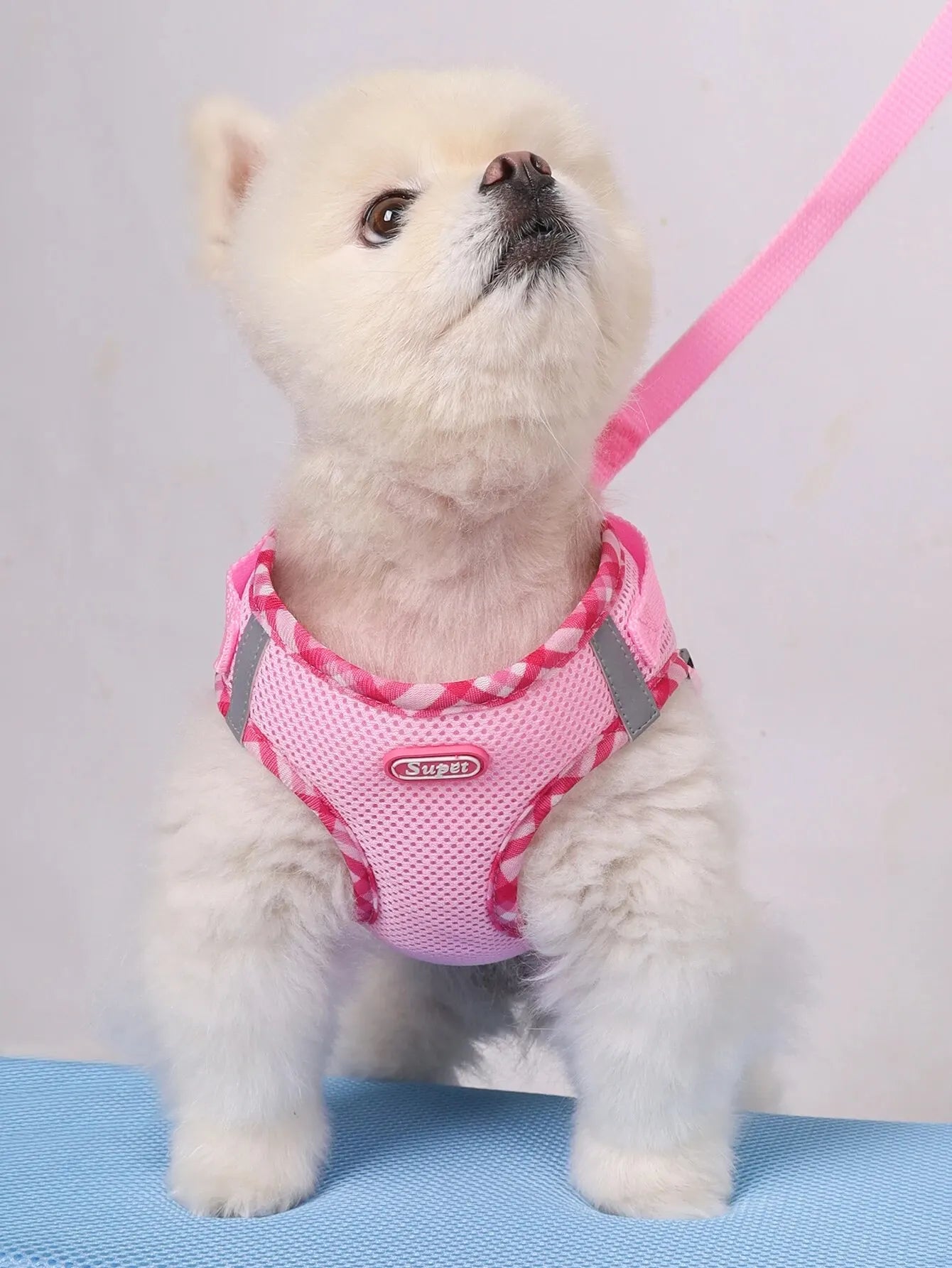 Super Adjustable Anti Pull Dog Harness for Small and Medium Dogs