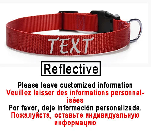 Personalized Dog Collar Custom ID Name Phone Number Nylon Collar