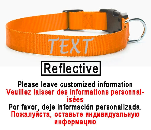 Personalized Dog Collar Custom ID Name Phone Number Nylon Collar