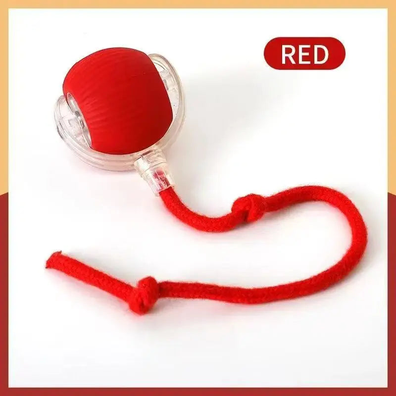 Durable Pet Rope Ball Toy Interactive Dog and Cat Teaser Ball