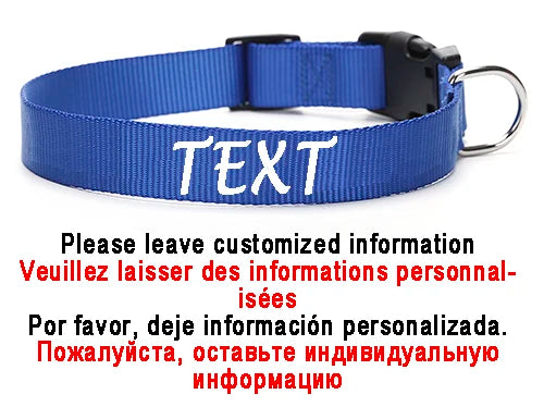 Personalized Dog Collar Custom ID Name Phone Number Nylon Collar