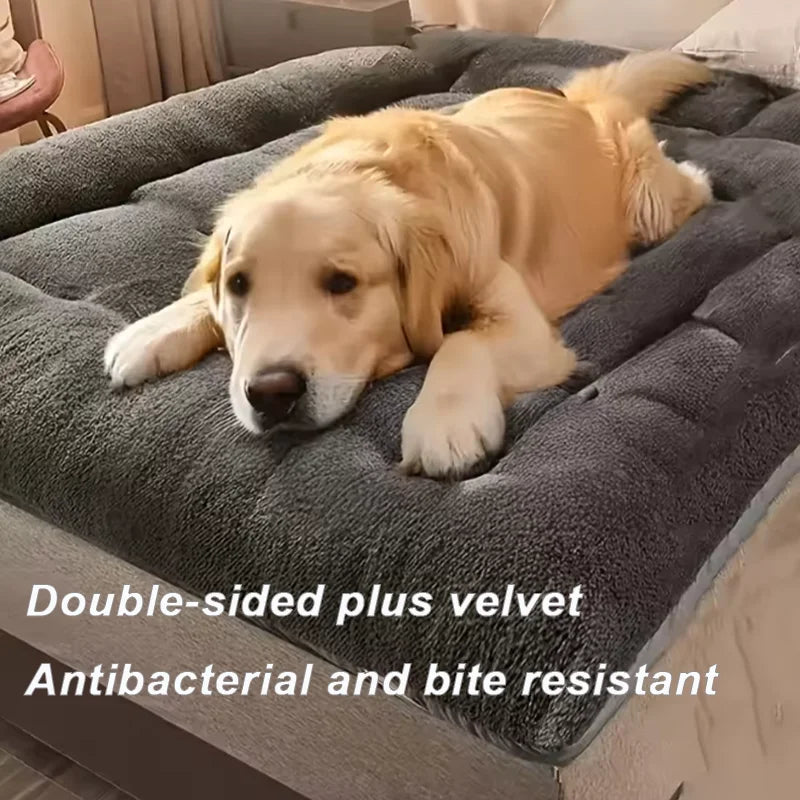 Premium Sofa Style Pet Bed Ultra Plush Mat for Large Cats and Dogs