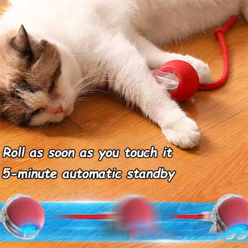 Automatic Teasing Cat Ball Interactive Self Play Cat Toy