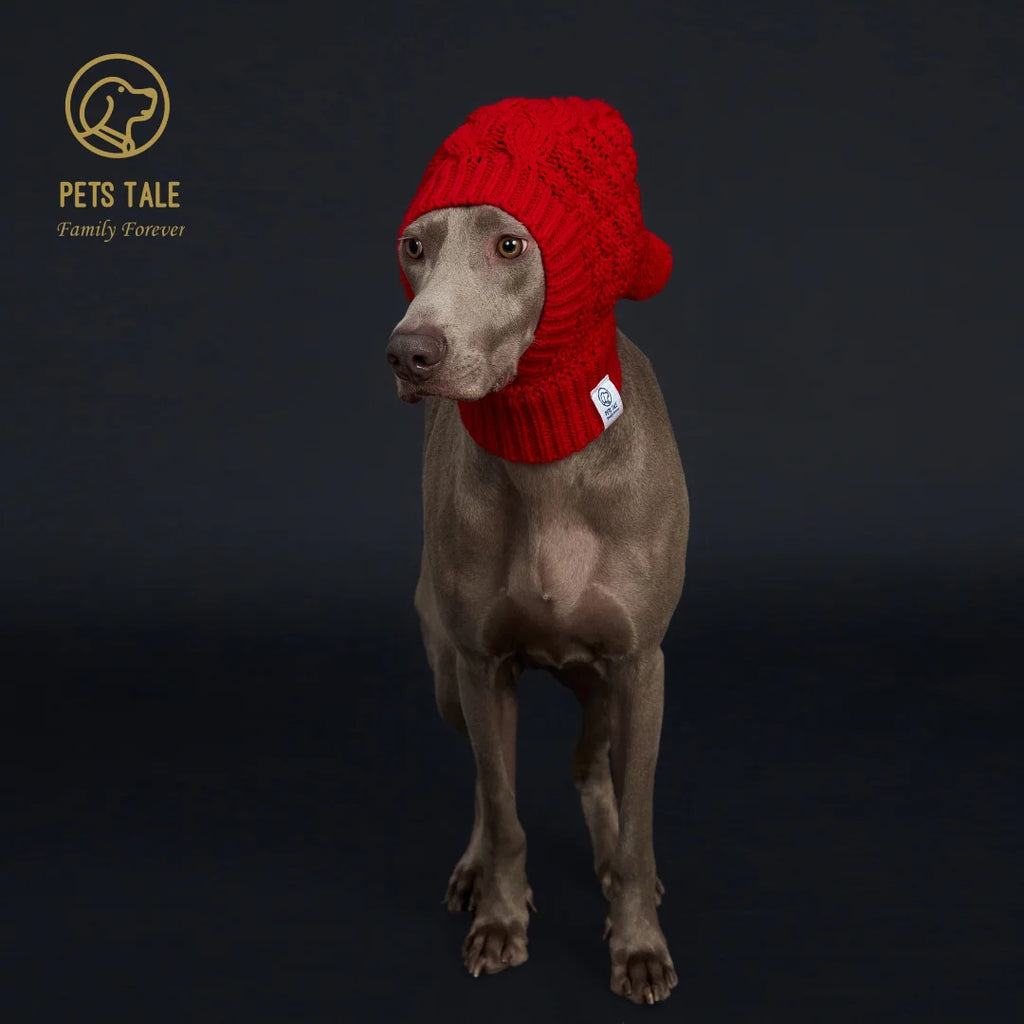 Knitted Pom Pom Dog Hat Cozy Waffle Pattern for Greyhound and Weimaraner