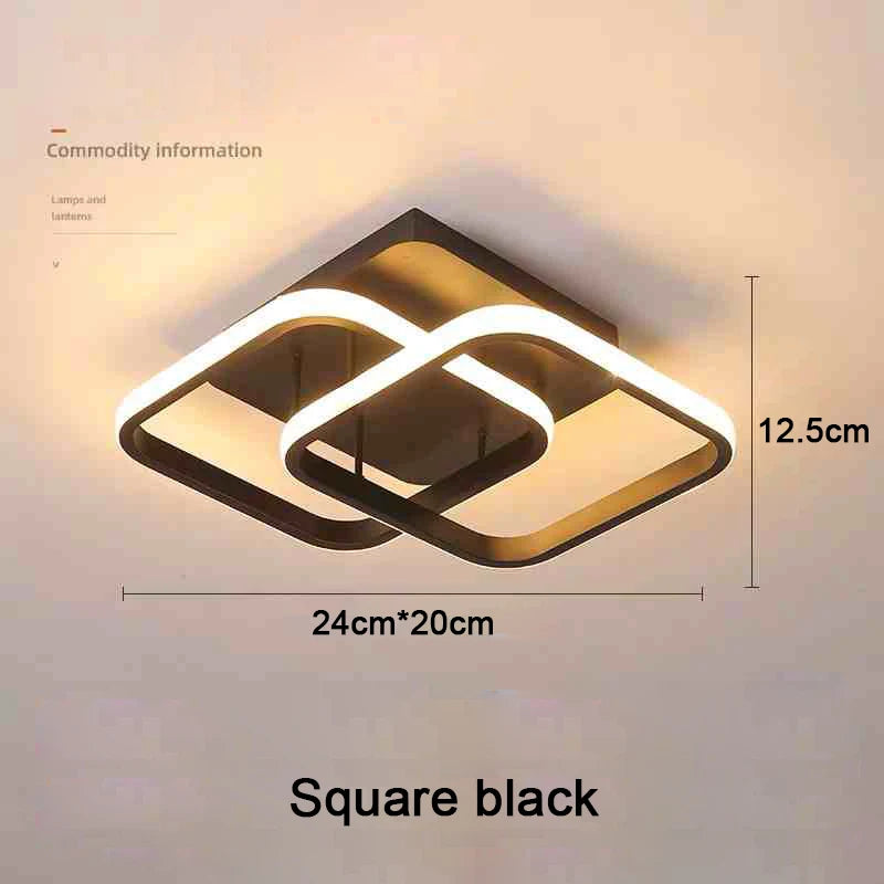 Modern LED 2 Ring Ceiling Light Creative Indoor Lighting Fixture