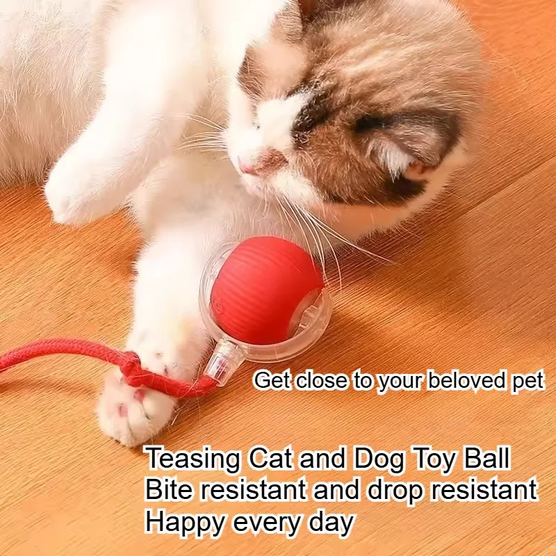 Durable Pet Rope Ball Toy Interactive Dog and Cat Teaser Ball