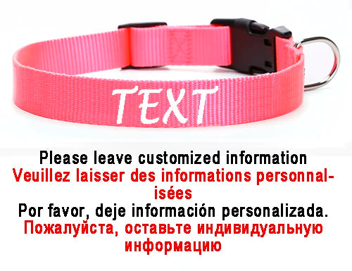 Personalized Dog Collar Custom ID Name Phone Number Nylon Collar