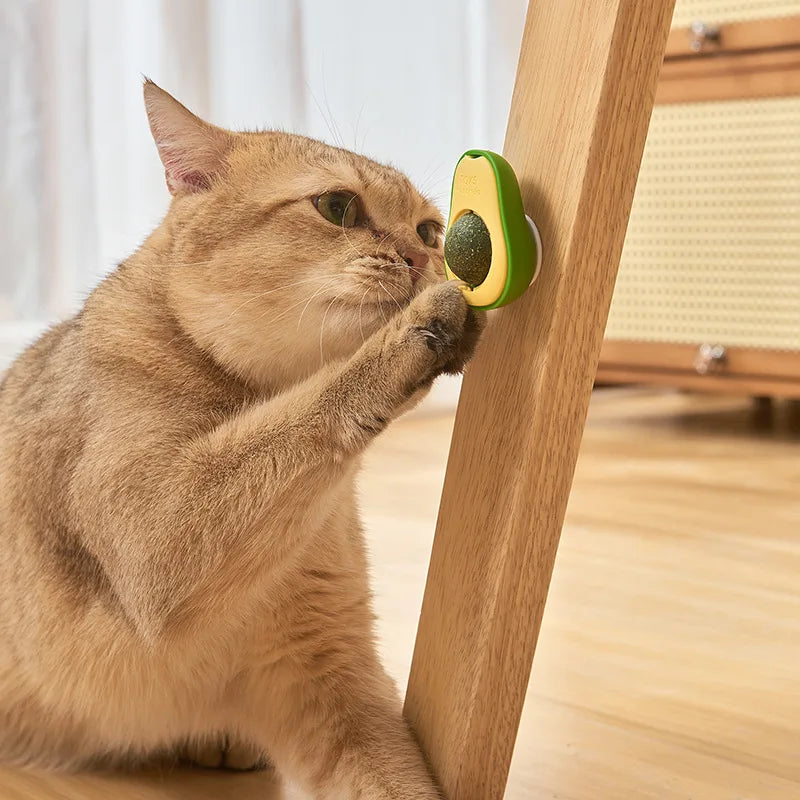 Avocado Catnip Ball Toy Rotating Interactive Cat Treat Toy