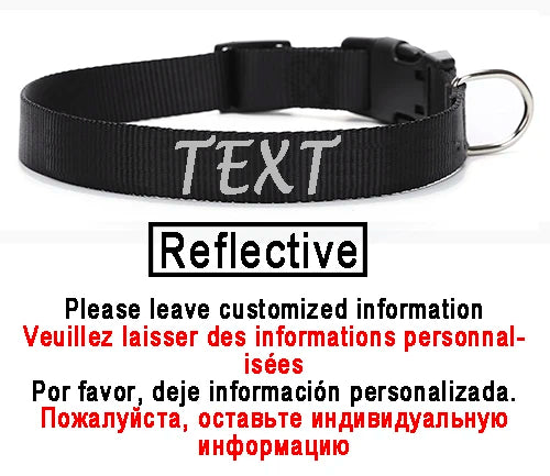 Personalized Dog Collar Custom ID Name Phone Number Nylon Collar