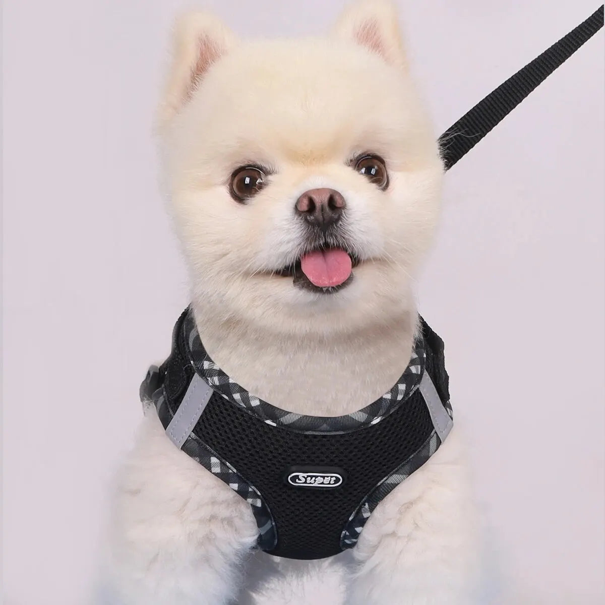 Super Adjustable Anti Pull Dog Harness for Small and Medium Dogs