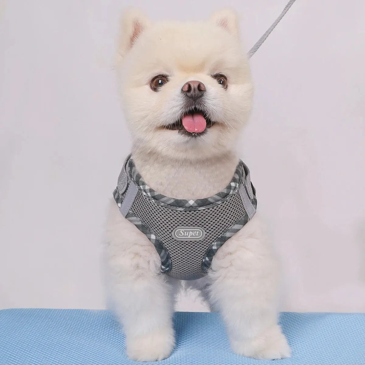 Super Adjustable Anti Pull Dog Harness for Small and Medium Dogs