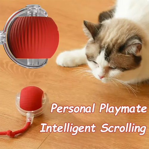 Automatic Teasing Cat Ball Interactive Self Play Cat Toy