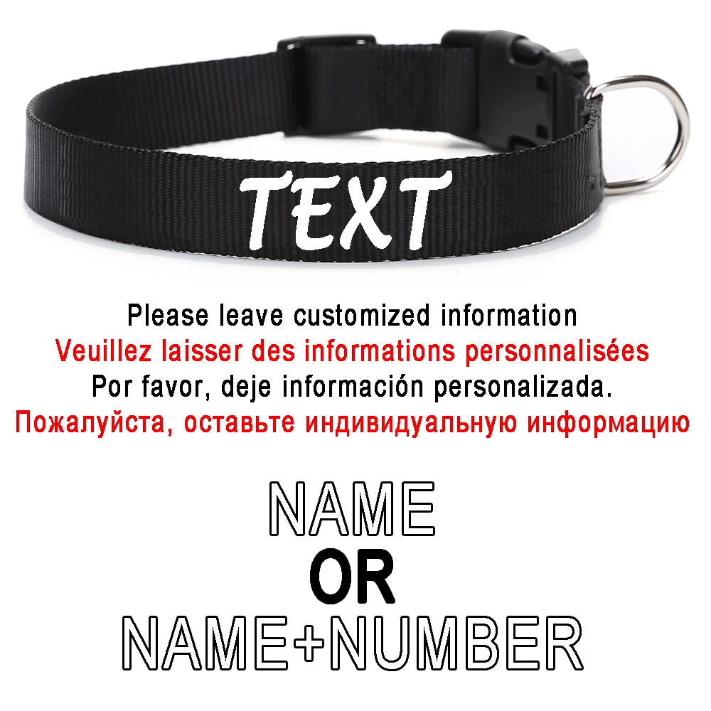 Personalized Dog Collar Custom ID Name Phone Number Nylon Collar