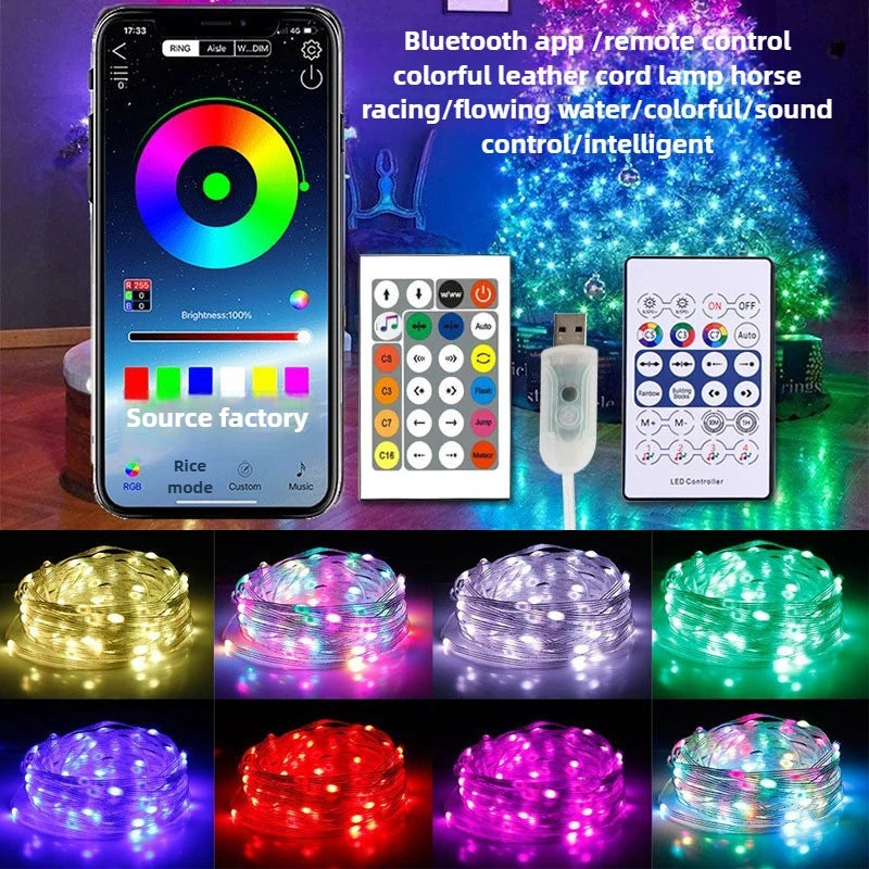 Bluetooth RGB LED String Lights Rainbow Flowing Copper Wire Festive Decor