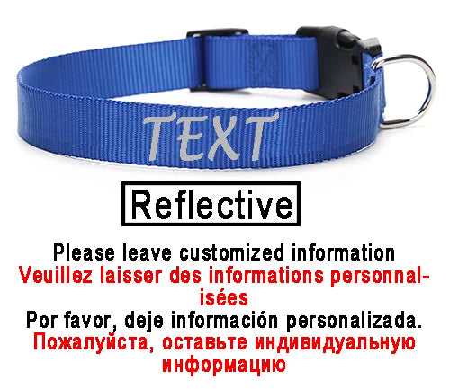 Personalized Dog Collar Custom ID Name Phone Number Nylon Collar