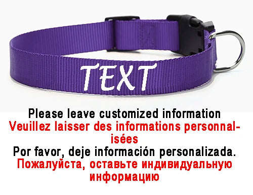 Personalized Dog Collar Custom ID Name Phone Number Nylon Collar
