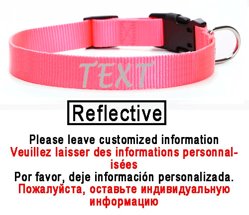 Personalized Dog Collar Custom ID Name Phone Number Nylon Collar