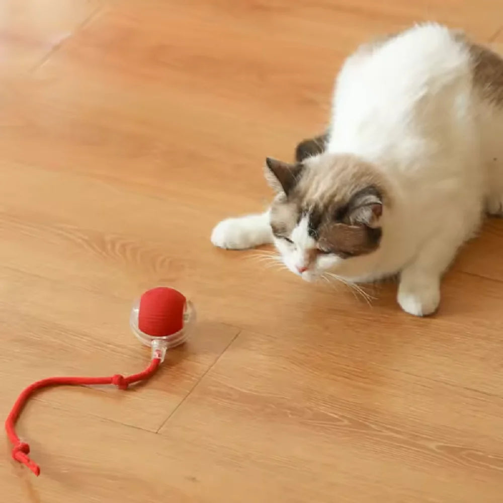 Durable Pet Rope Ball Toy Interactive Dog and Cat Teaser Ball