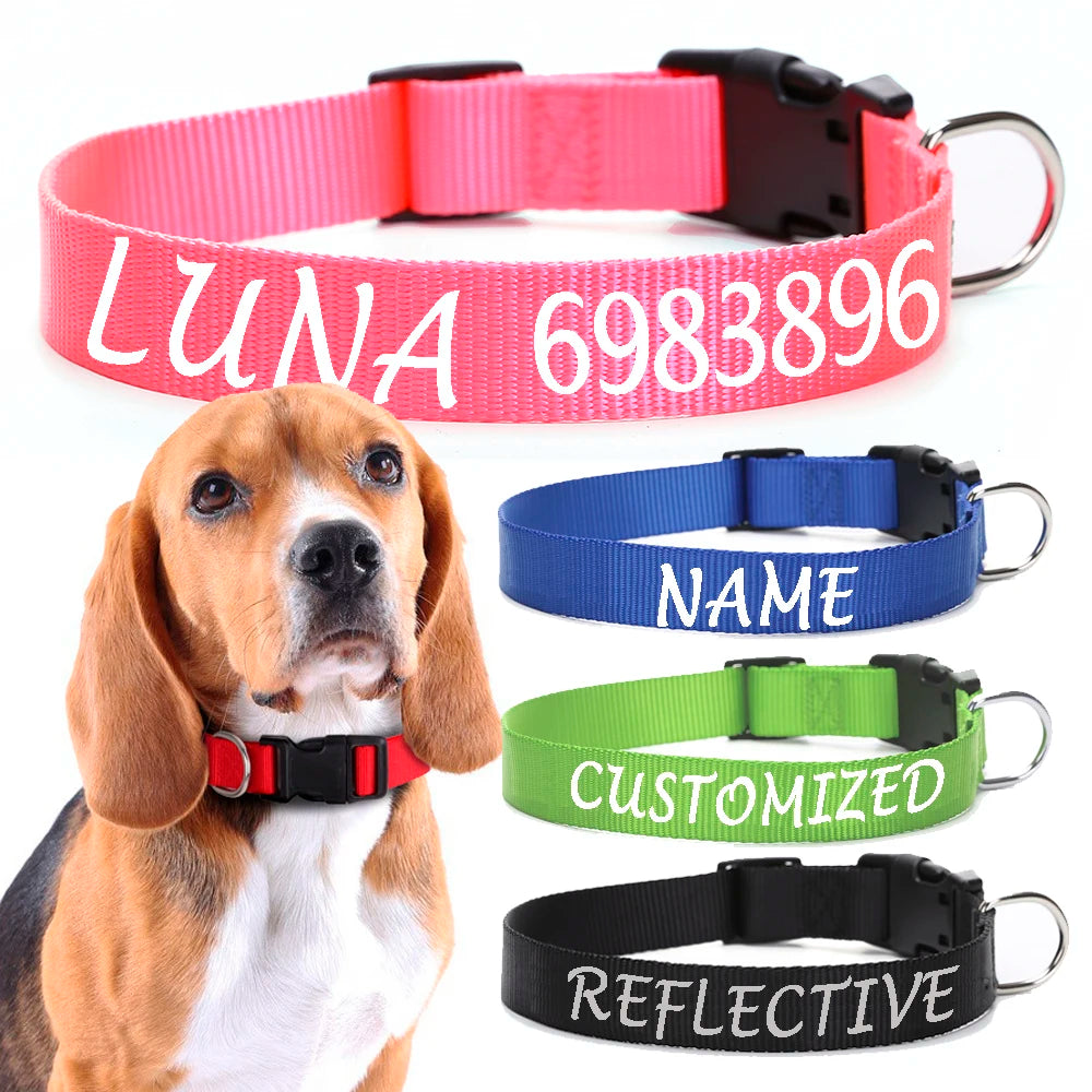 Personalized Dog Collar Custom ID Name Phone Number Nylon Collar