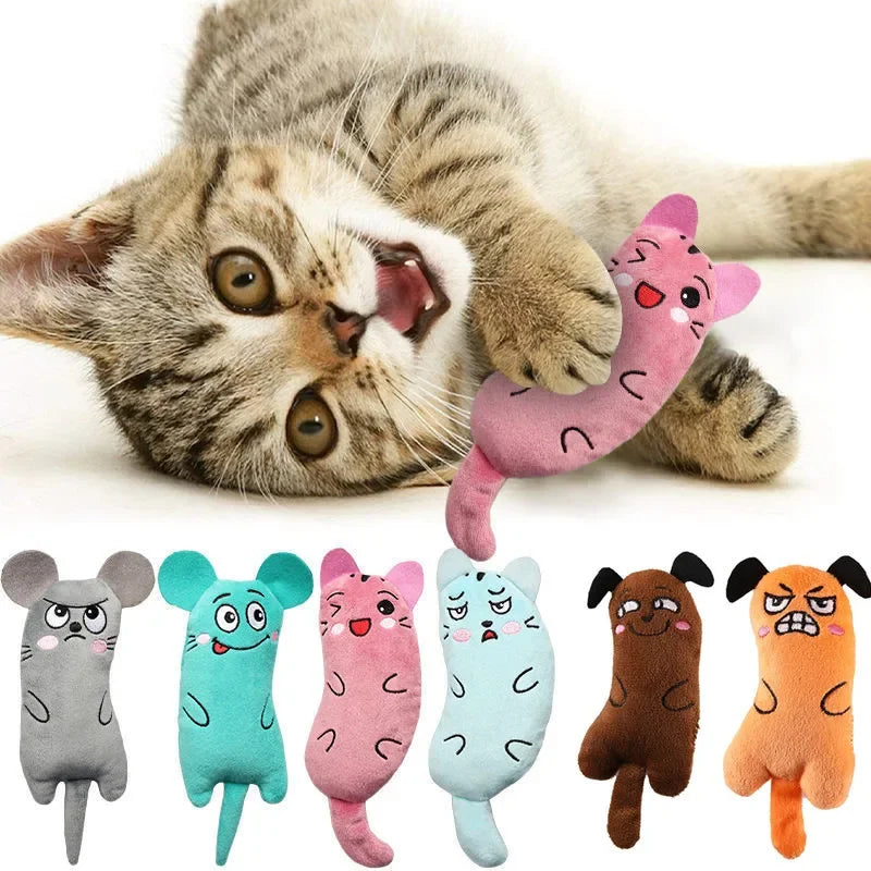 Cute Interactive Plush Cat Toy Catnip Chew Toy for Kittens