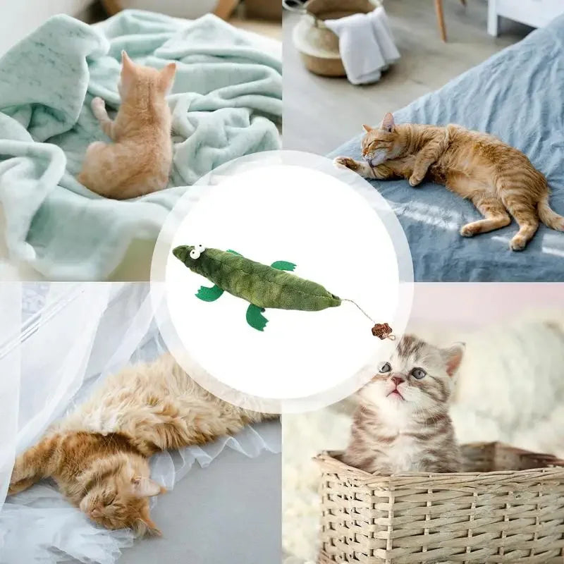 Soft Crinkle Cat Chew Toy Interactive Teething Toy for Cats