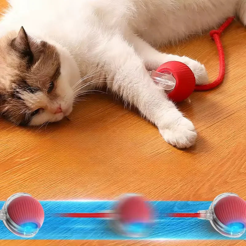Durable Pet Rope Ball Toy Interactive Dog and Cat Teaser Ball