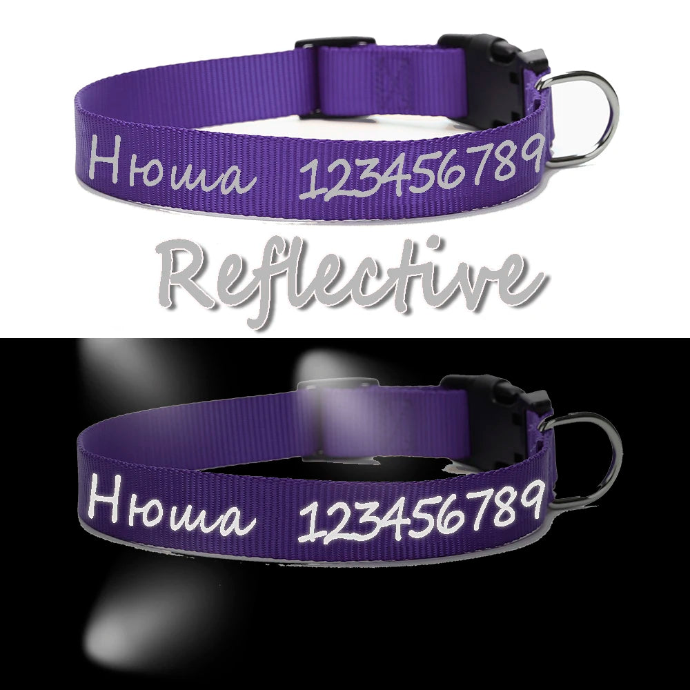 Personalized Dog Collar Custom ID Name Phone Number Nylon Collar
