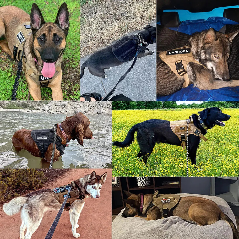 Tactical Military Dog Harness Training Vest for Large Dogs