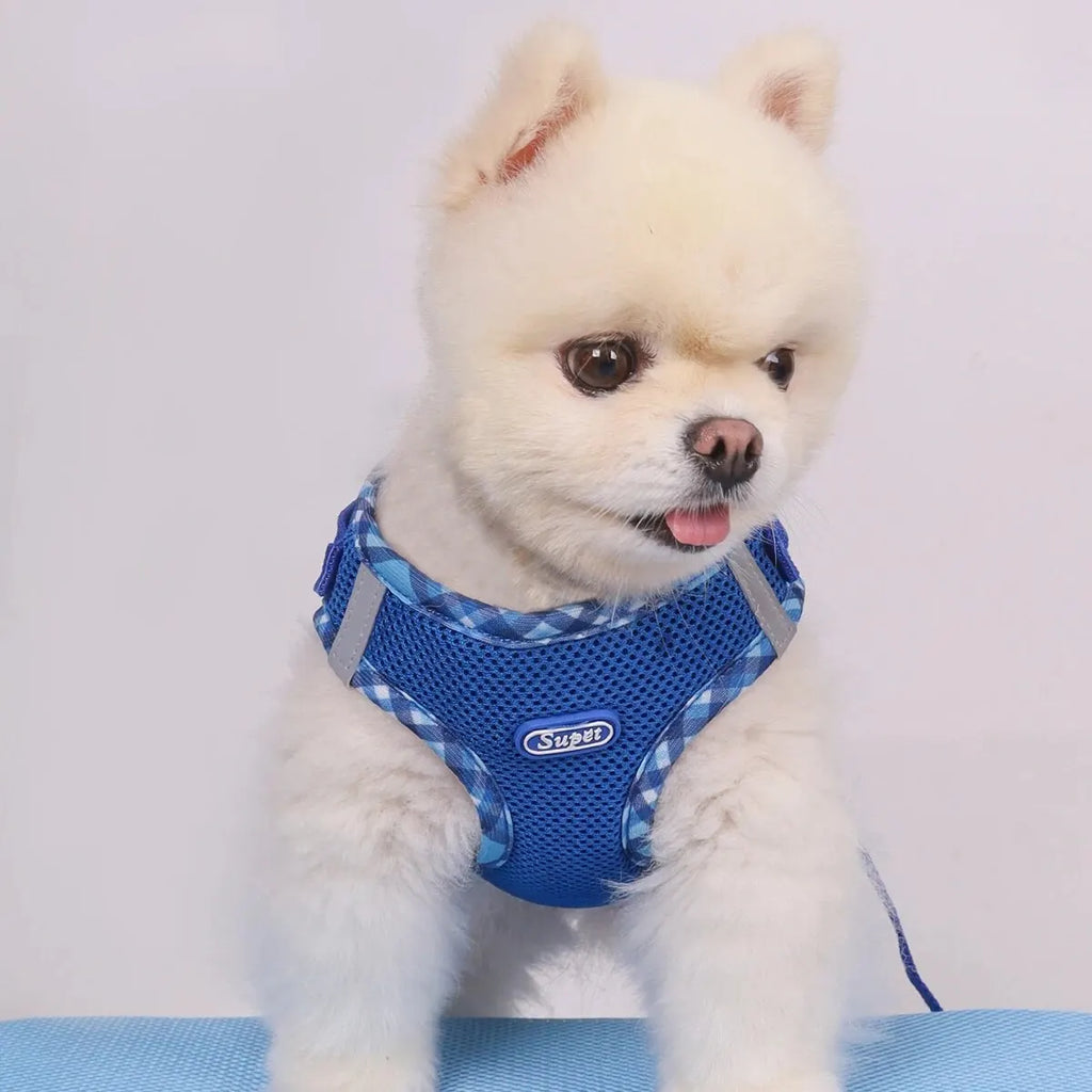 Super Adjustable Anti Pull Dog Harness for Small and Medium Dogs