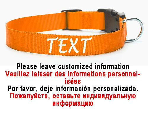 Personalized Dog Collar Custom ID Name Phone Number Nylon Collar