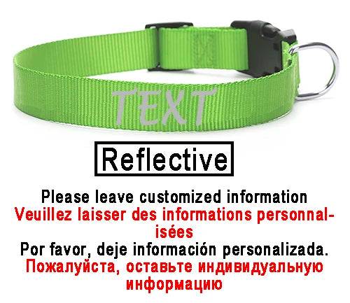Personalized Dog Collar Custom ID Name Phone Number Nylon Collar