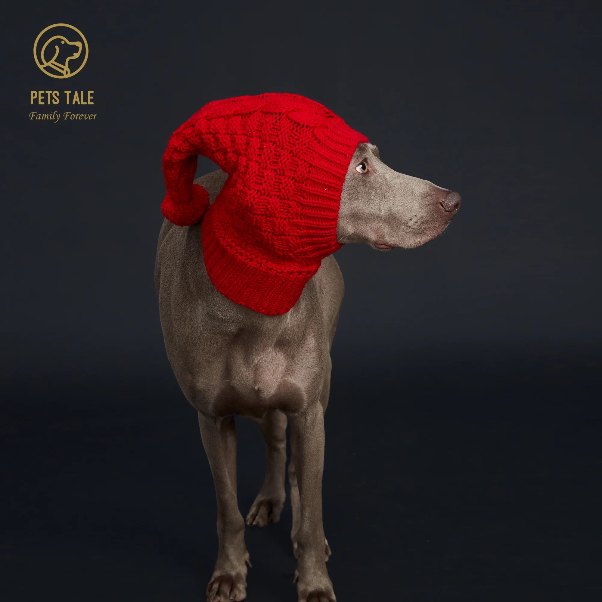 Knitted Pom Pom Dog Hat Cozy Waffle Pattern for Greyhound and Weimaraner