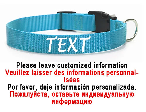 Personalized Dog Collar Custom ID Name Phone Number Nylon Collar